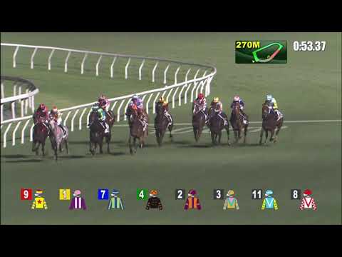 19/5/2021 (686) Ping Hai Galaxy - A Hamelin