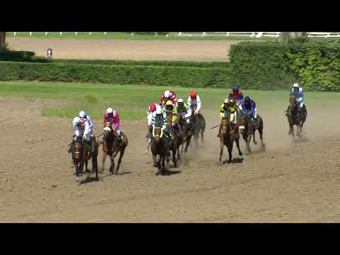 4. 7. 2020 - 6. dostih - Cena města Pardubic – EURO EQUUS – I. kvalifikace na 130. Vp se Sp