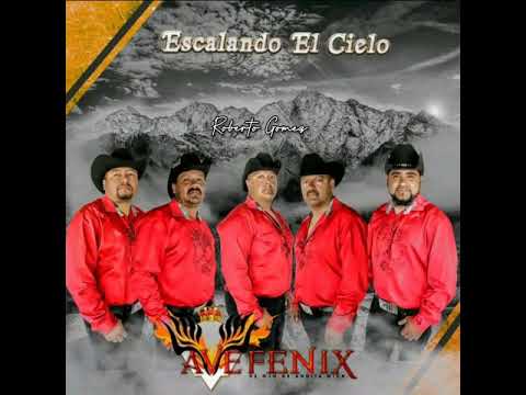 Ave Fenix - Roberto Gomez