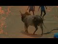 Jalllikattu Raaga Raga Ragalada Version Jalllikattu Whatsapp Status ️ SongsTamizha