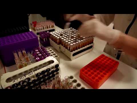 Эксперты о доступности лабораторных исследований в Курской области