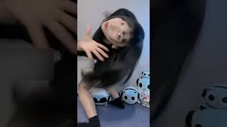 【TikTok】ブラも谷間の向こうも見えちゃってる(*´˘`*)♡  #TikTok#shorts#ブラ#谷間#巨乳#美乳#胸元#エロい#おかず#推し#おすすめ