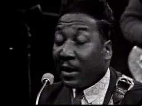 Muddy Waters - You Can't Loose What Your Never Had