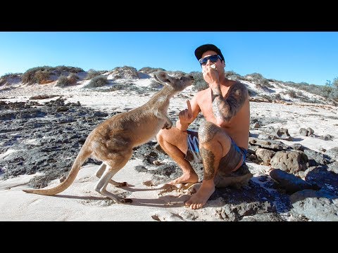 STRANDED ON REMOTE ISLANDS Finding Rare Mud Crab (Friendly Kangaroo) - Ep 89