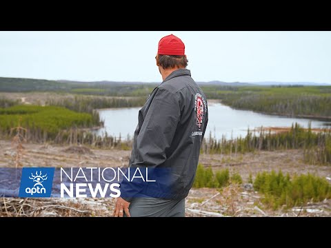 First Nation in B.C. says no more logging unless companies have its consent | APTN News