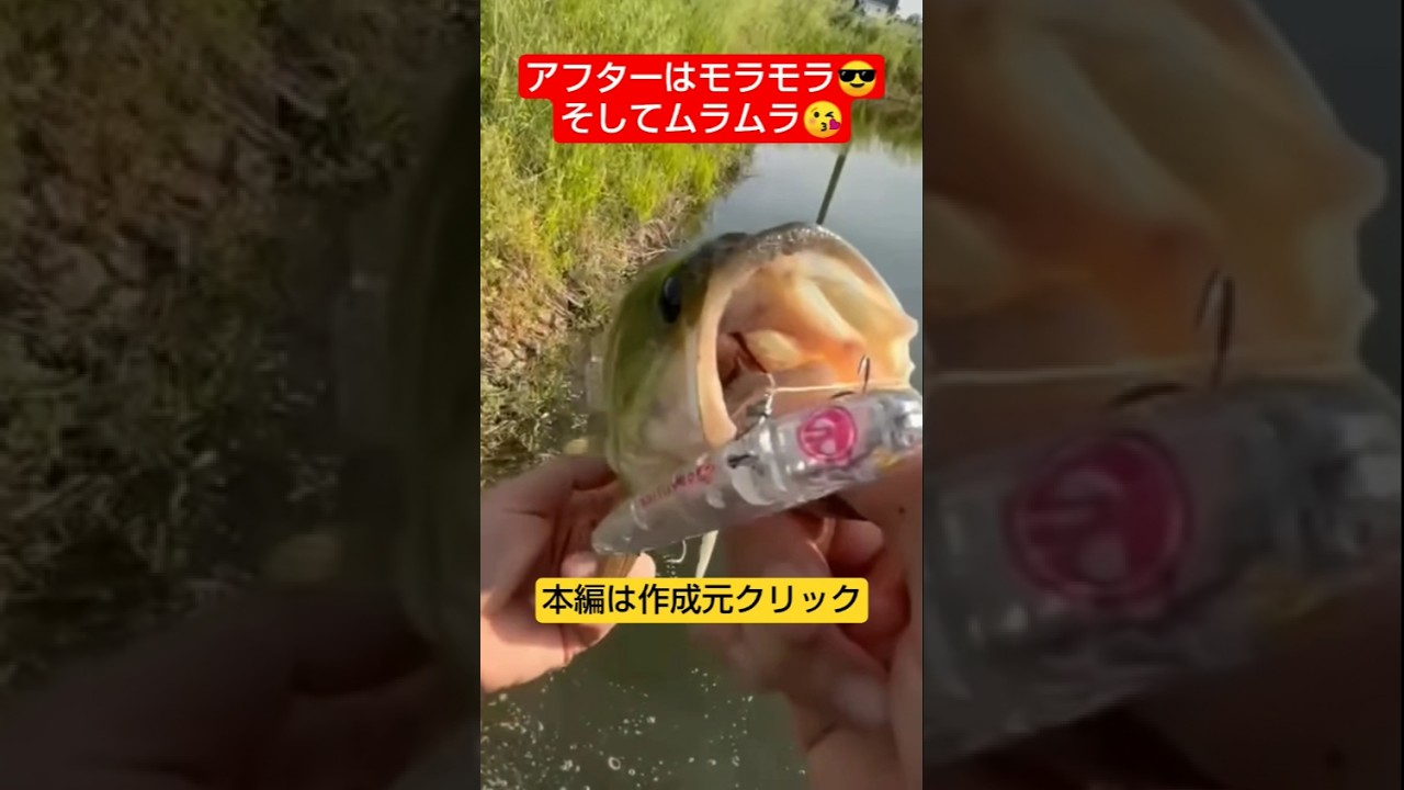 モラモラでムラムラしようぜ😎福岡バス釣りトニー