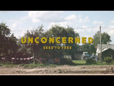 Seed to Tree - "Unconcerned" (Official Video)