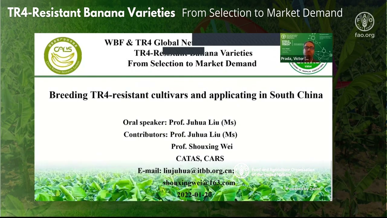 Day 2– TR4 Global Network – TR4-Resistant Banana Varieties: From Selection to Market Demand