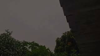 Gentle RAIN 🌧 to relax😌 and sleep 😴 #shorts #rain