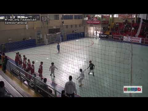 integra palmeiras x santos final paulista sub08