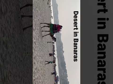Desert in Varanasi || camel🐪 riding || amazing place || #shorts #ytshorts #camel #desert