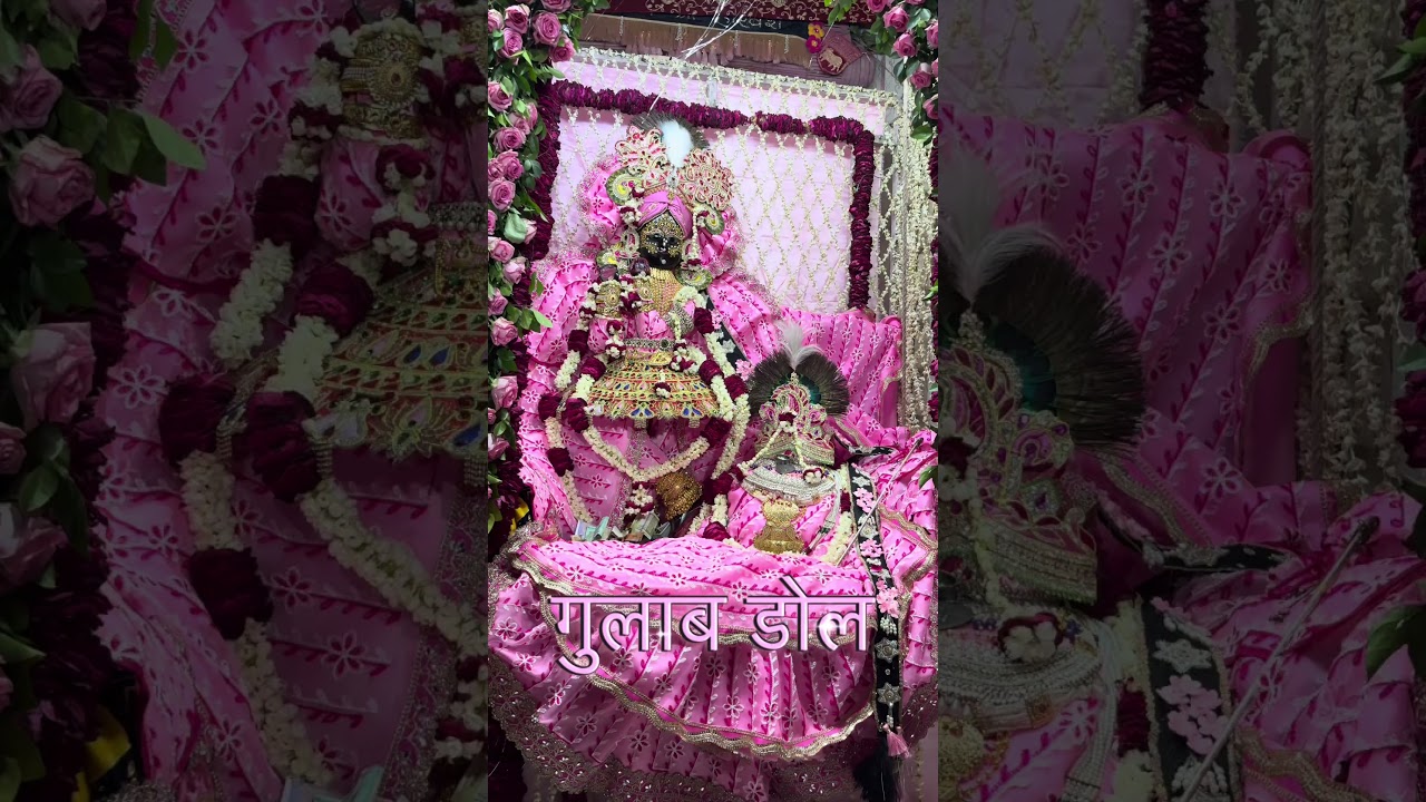 Shri Radhikavallabh lal ju gulab dol utsav