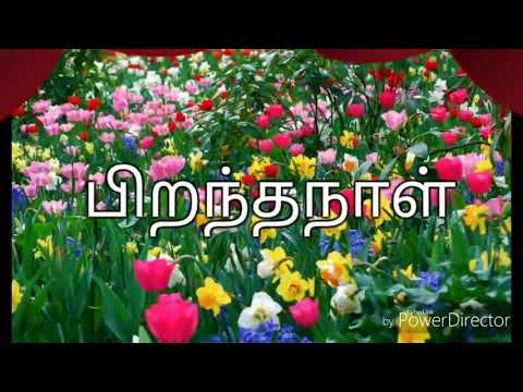 SRINITHI BIRTHDAY 5TH