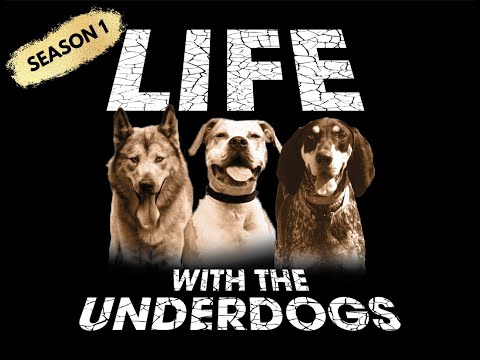 LIFE WITH THE UNDERDOGS  - A Girl's Best Boyfriend (Season 1/Episode 5)