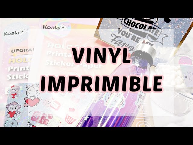 Vídeo relacionado con Pack 8ud Pegatinas Anticolisión para Cristales Vinilo Adhesivo Circular para Ventanas Previene Choques de Personas y Pájaros Adhesivos Antichoque para Vidrios Transparentes (12 cm, Negro)