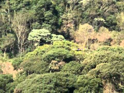 CMC Pouso glamuroso Pinduka