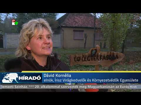 Híradó - 2018.11.25. 17:30h