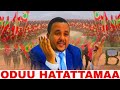 ODUU HATATTAMAA LOLLA DEMAA JAWAR MAHAMMED 31 May 2026
