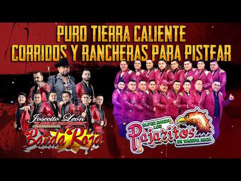 Banda Roja y Pajaritos de Tacupa 🔥100% Tierra Caliente Mix 2024 🔥 Corridos Y Rancheras Para Pistear