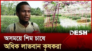 শেরপুরে আগাম জাতের শিম চাষে সফল কৃষক