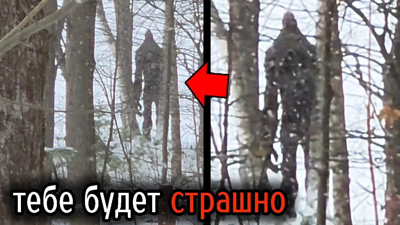 Самые Ужасные Видео со Всего Мира #99