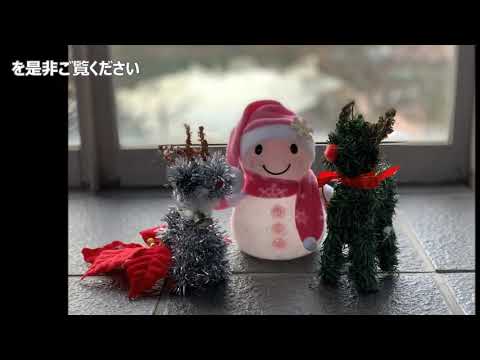 地域資源開発学科 2021年度受験生向け【地域資源】PV Xmas version