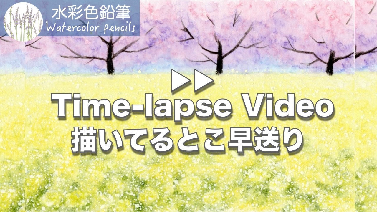 【水彩色鉛筆】桜と菜の花を描く(早送り▶︎▶︎)  #初心者 #水彩色鉛筆 #水彩 #描き方 #painting #drawing