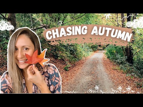 Chasing Autumn Colours