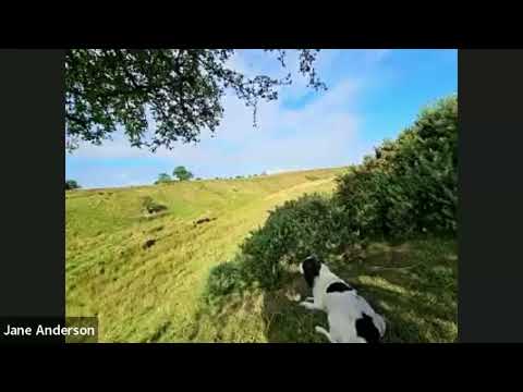 JWJ episode 35 - Grief..........what it really looks like