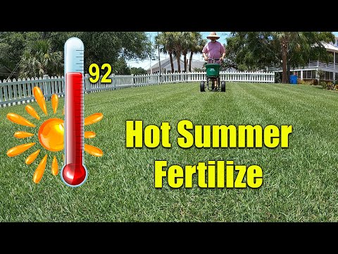Fertilizing Lawns in the Summer Heat