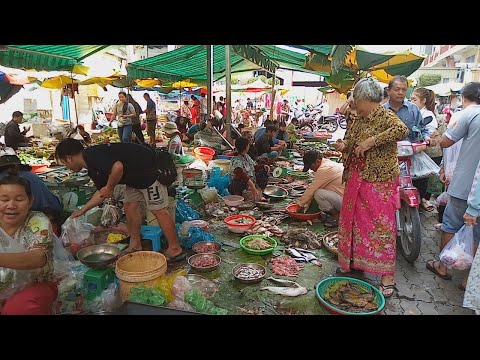 My Travel Around Phnom Penh Market - Daily Fresh Food Compilation