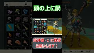 #shorts 頭の上に鍋置いたらいろいろと大惨事が起きてしまった【ゼルダの伝説ティアーズオブザキングダム】#short#ねこなべ#ティアキン#ゼルダの伝説#ゼルダの伝説ティアーズオブザキングダム