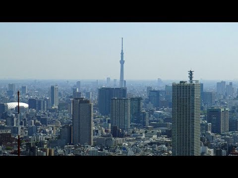 image-What is Japan's government building?