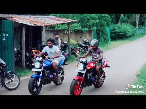 Sl tik tok HONDA HORNET Sri Lanka 🇱🇰