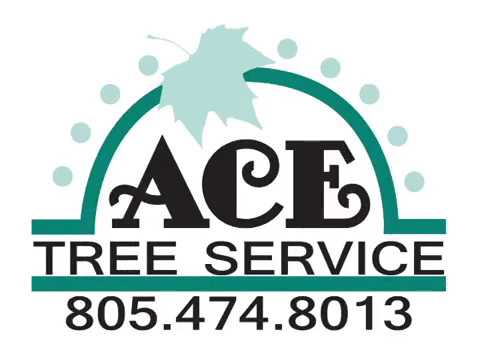 Ace Certified Tree Service video