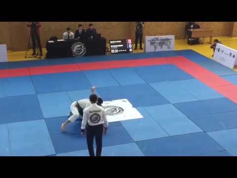 Bjj Competition - Blue Belts