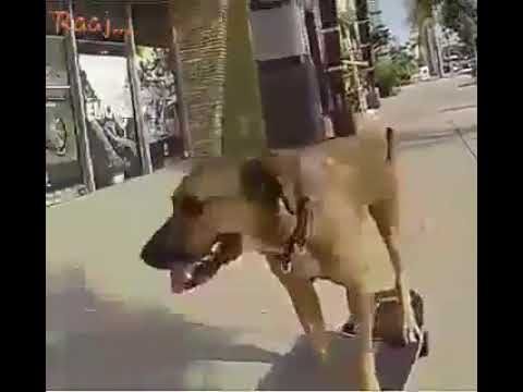 Mai nikla gadiiiii ly k