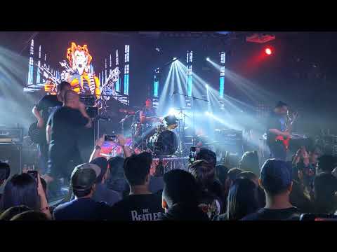 Greyhoundz - Your Puppet and Clown (Live at Zouk Singapore)