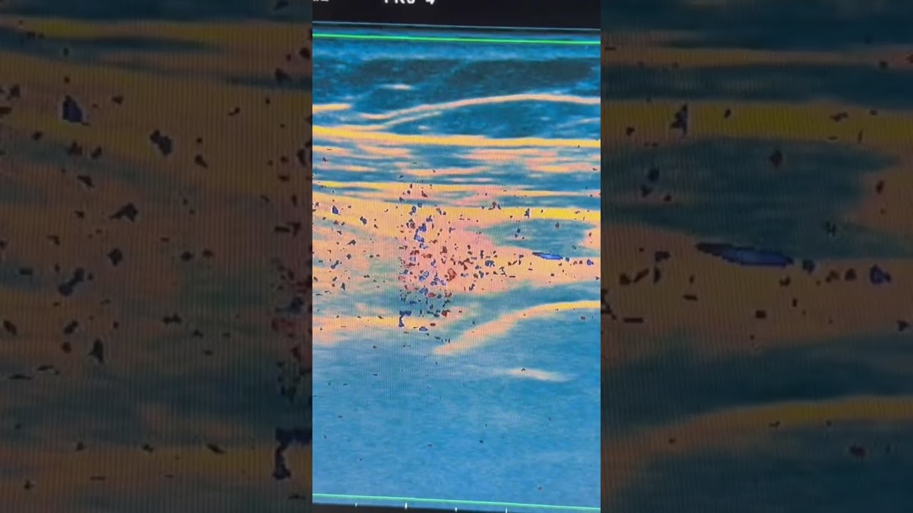 Roberto-Paolo Zambelli-22