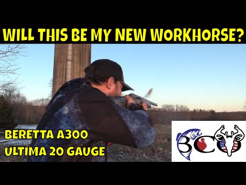 beretta a300 ultima 20 gauge first impression \u0026 cycle test | bco review |