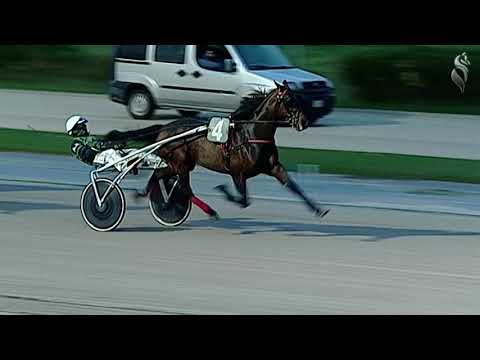 Aversa trotto 9 Dicembre 2020 - 5° Corsa