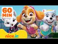PAW Patrol Girl Power Rescue Hour W Skye Sweetie Everest Nick Jr
