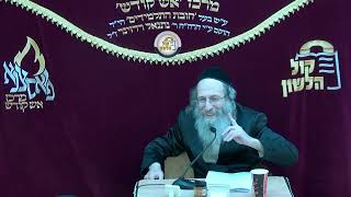 הרב אלימלך בידרמן | 🔴שידור חי - פרשת בא תשפ"ו (ארגון קול הלשון) - התמונה מוצגת ישירות מתוך אתר האינטרנט יוטיוב. זכויות היוצרים בתמונה שייכות ליוצרה. קישור קרדיט למקור התוכן נמצא בתוך דף הסרטון