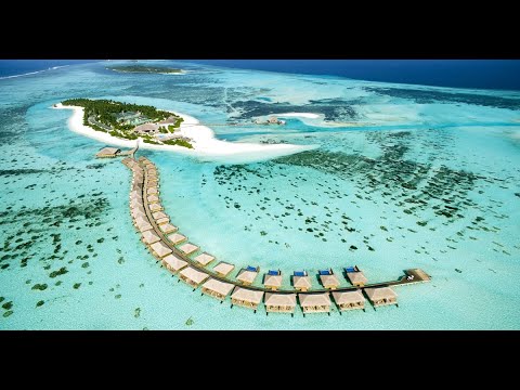 Videos del Cocoon Maldives 5★ en Atolón Lhaviyani, Maldivas
Ver Más
Ver
Precios
17
Cerrar
Consulta por Whatsapp 🇦🇷
Booking
Tripadvisor
Expedia
Agoda
Travelocity
Orbitz
Priceline
Trip
Skyscanner
Despegar
Kayak
Hoteles
Destinia
Trivago
Lastminute
Tui
Wotif