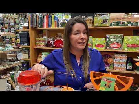 Sherrie's Secrets to Attracting Orioles