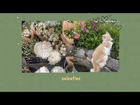 the laufey playlist ♪ ▶︎ •၊၊||၊|။||||။‌‌‌‌‌၊|• ♬