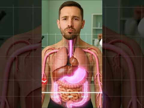 White Bread Effect on Blood Sugar & Weight Gain  | Human Body 3d Animation  #educationalvideo