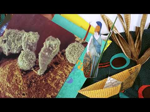 UFRJ - Vinheta de abertura Fala Minerva