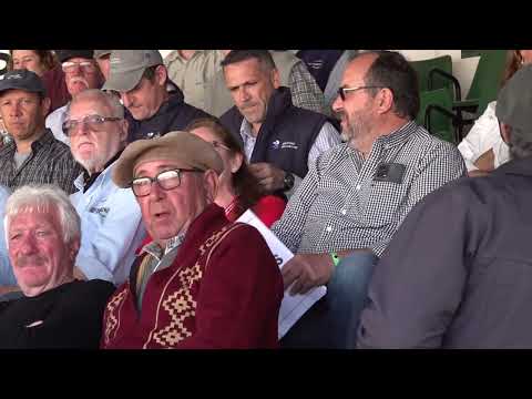 Panorama actual del sector ganadero por Jorge Pérez de Cabañas Intergradas Santafesinas