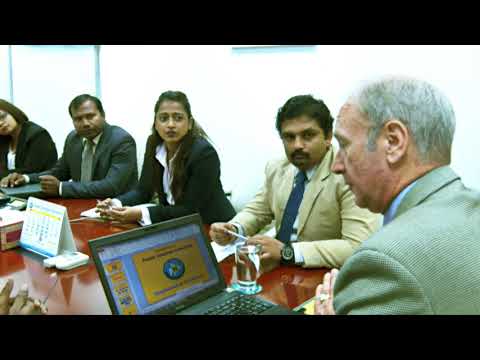 POWER SOLUTION INDUSTRIES L.L.C